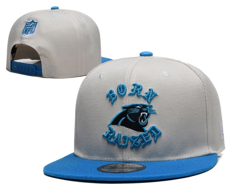 2025 NFL Carolina Panthers Hat YS2025411->nfl hats->Sports Caps